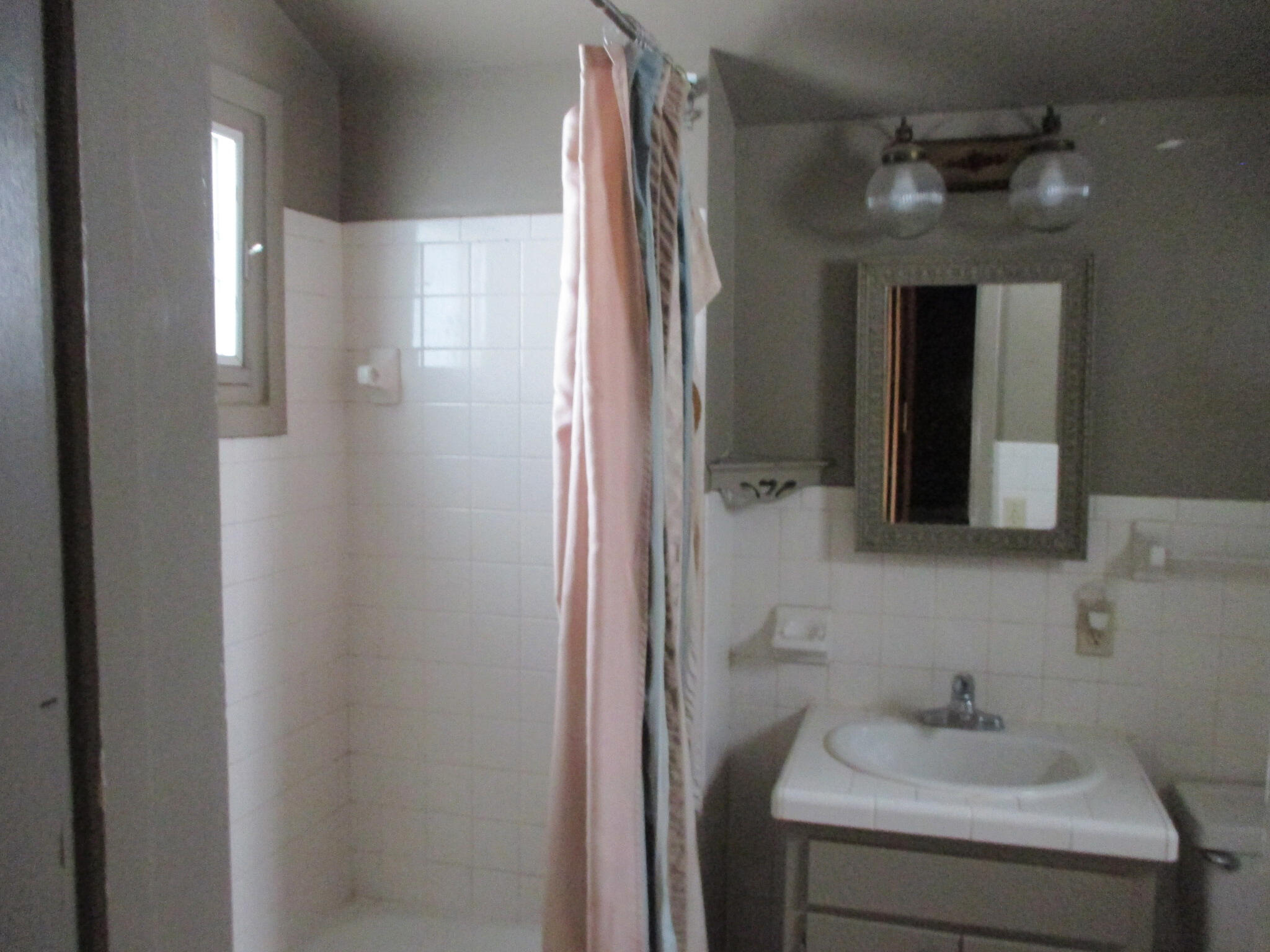 110 Vine Street Gobles, MI 49055 - Photo 19 of 20 IMG_3628