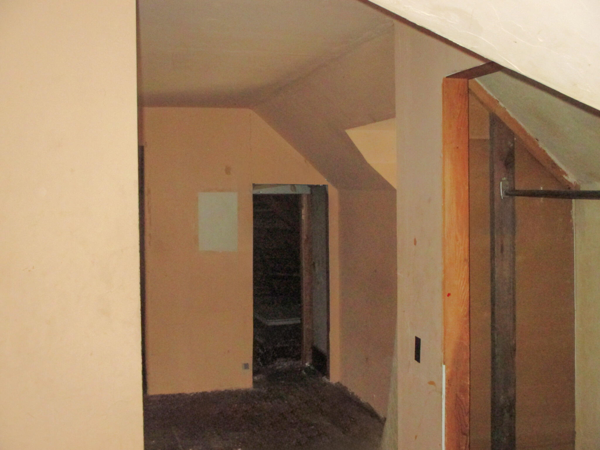 110 Vine Street Gobles, MI 49055 - Photo 20 of 20 IMG_3633