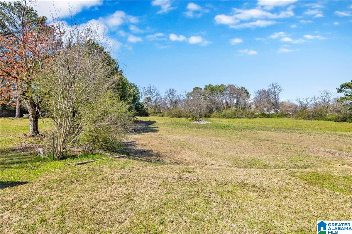159 Pebble Lane Alabaster, AL 35007 - Photo 37 of 40