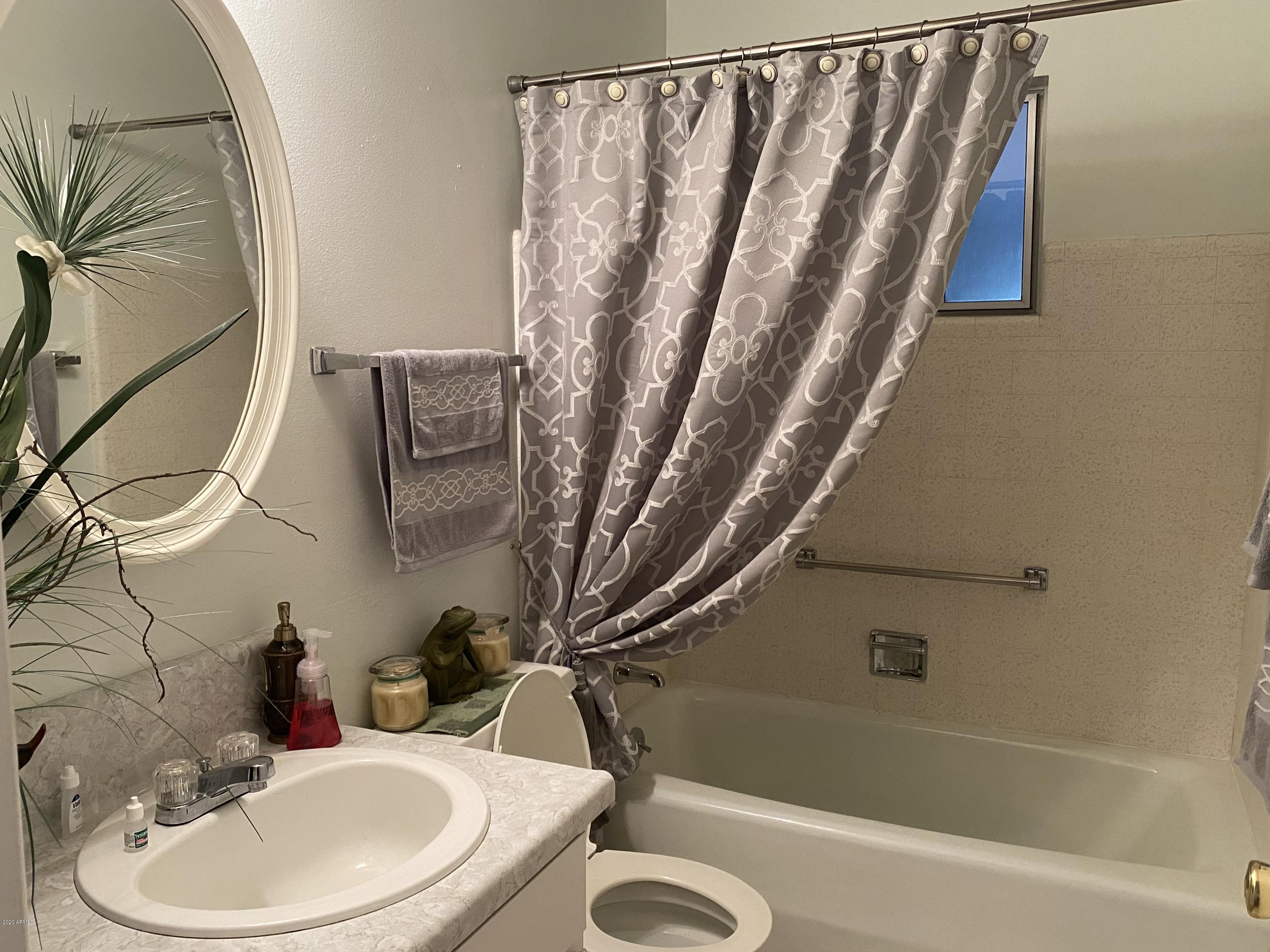 604 North Recker Road Mesa, AZ 85205 - Photo 18 of 43 Main Bathroom