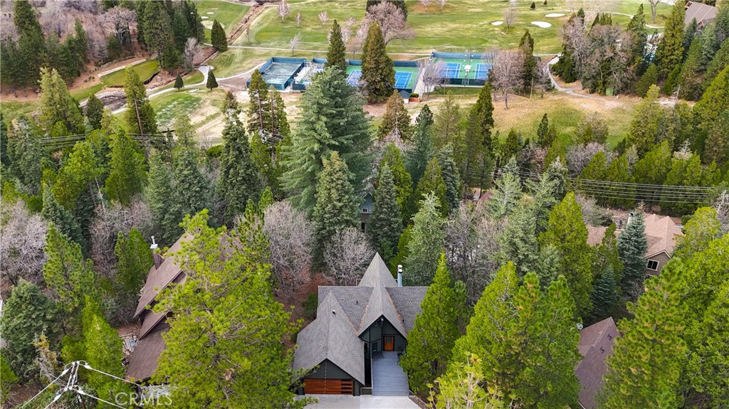 26838 Huron Road Lake Arrowhead, CA 92391 - Photo 61 of 63 an aerial view of houses with yard