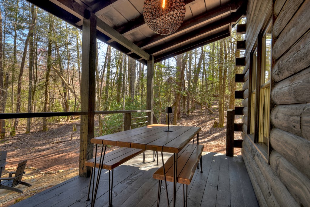 405 Idle Lane Blue Ridge, GA 30513 - Photo 38 of 47