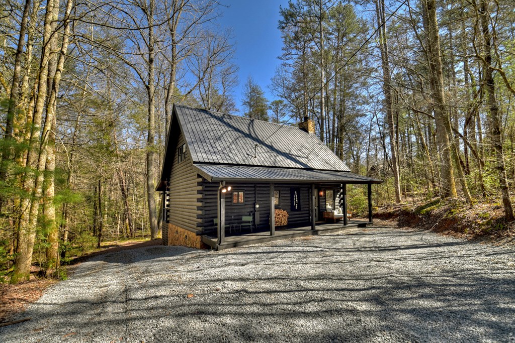405 Idle Lane Blue Ridge, GA 30513 - Photo 46 of 47
