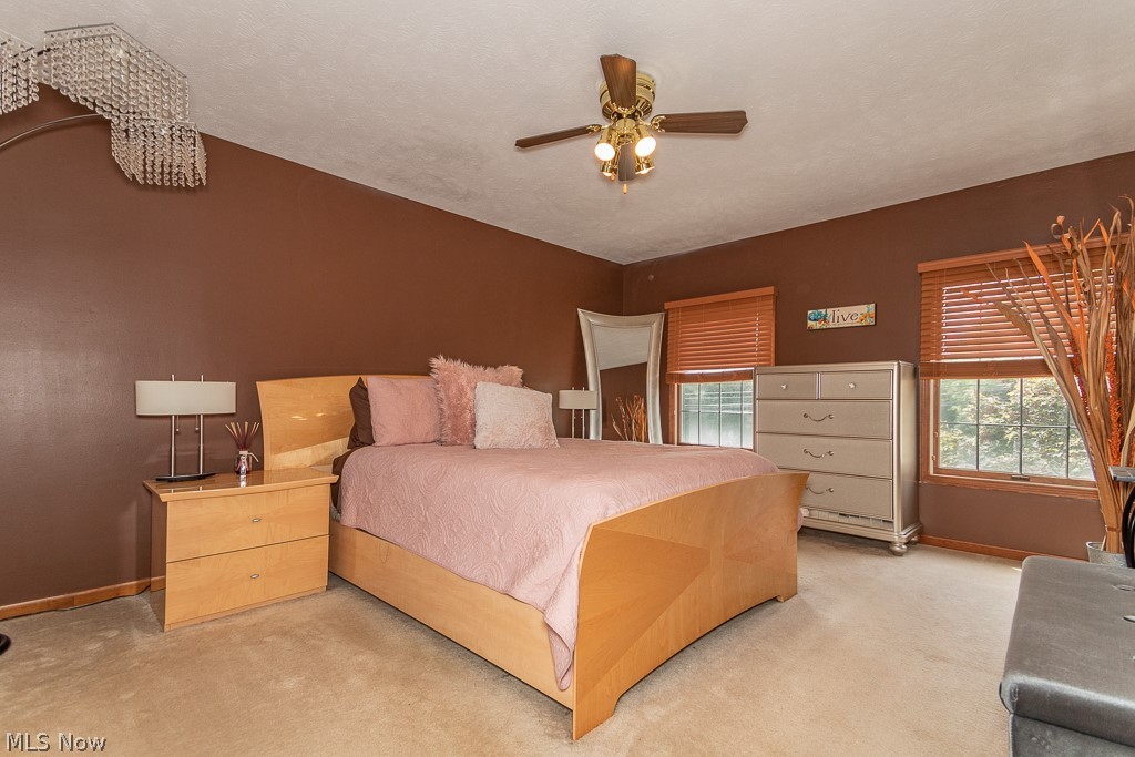 33065 Cedar Road Mayfield Heights, OH 44124 - Photo 11 of 29