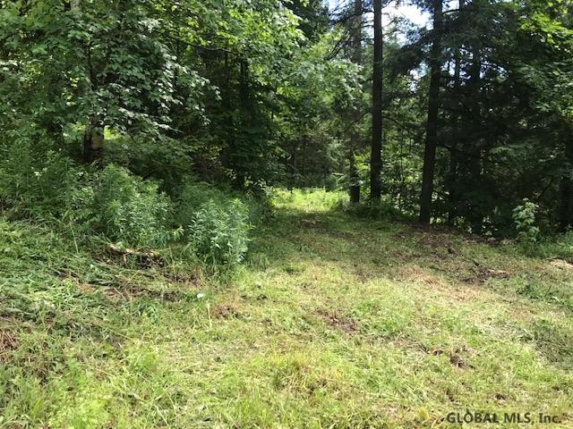 0 Mineral Springs Road Cobleskill, NY 12043 - Photo 6 of 9 Photo 6