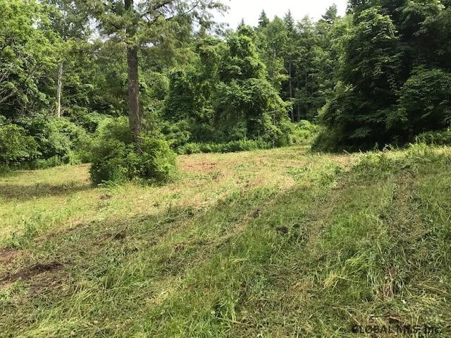 0 Mineral Springs Road Cobleskill, NY 12043 - Photo 7 of 9 Photo 7
