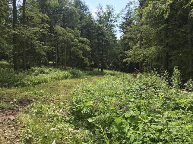 0 Mineral Springs Road Cobleskill, NY 12043 - Photo 8 of 9 Photo 8