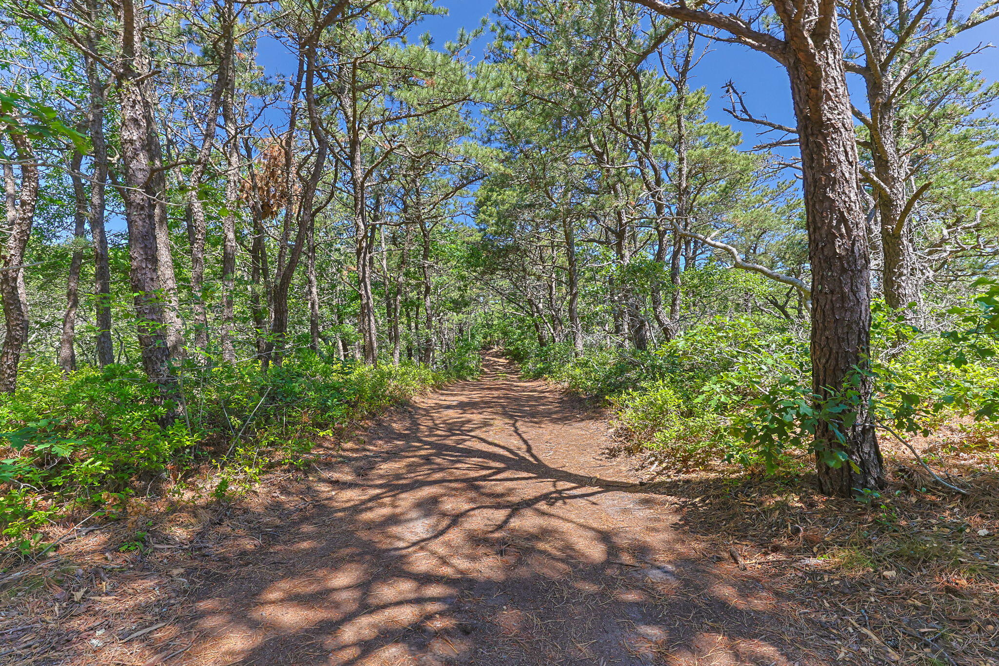 1100 Ocean View Drive Wellfleet, MA 02667 - Photo 5 of 48 Exterior