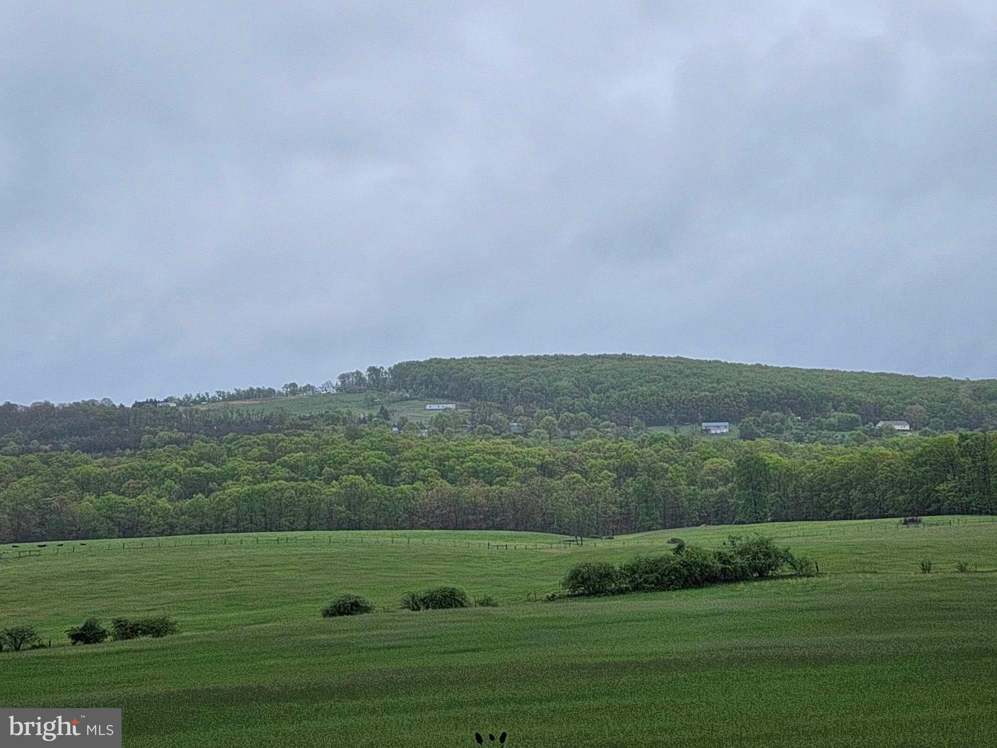 Mountain views that can be seen when trees cleared