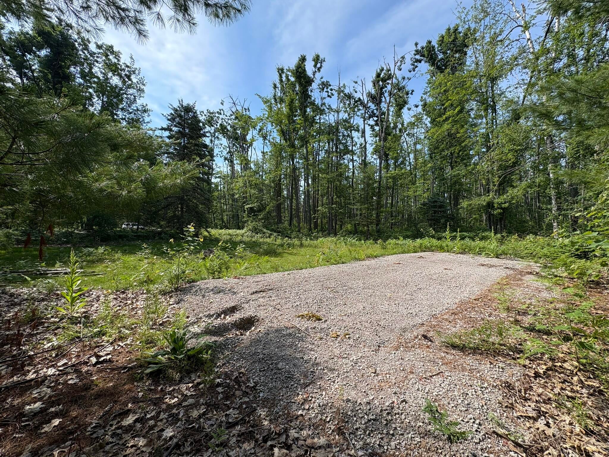 6885 Klein Road Hillman, MI 49746 - Photo 4 of 13 Gallery Image 4