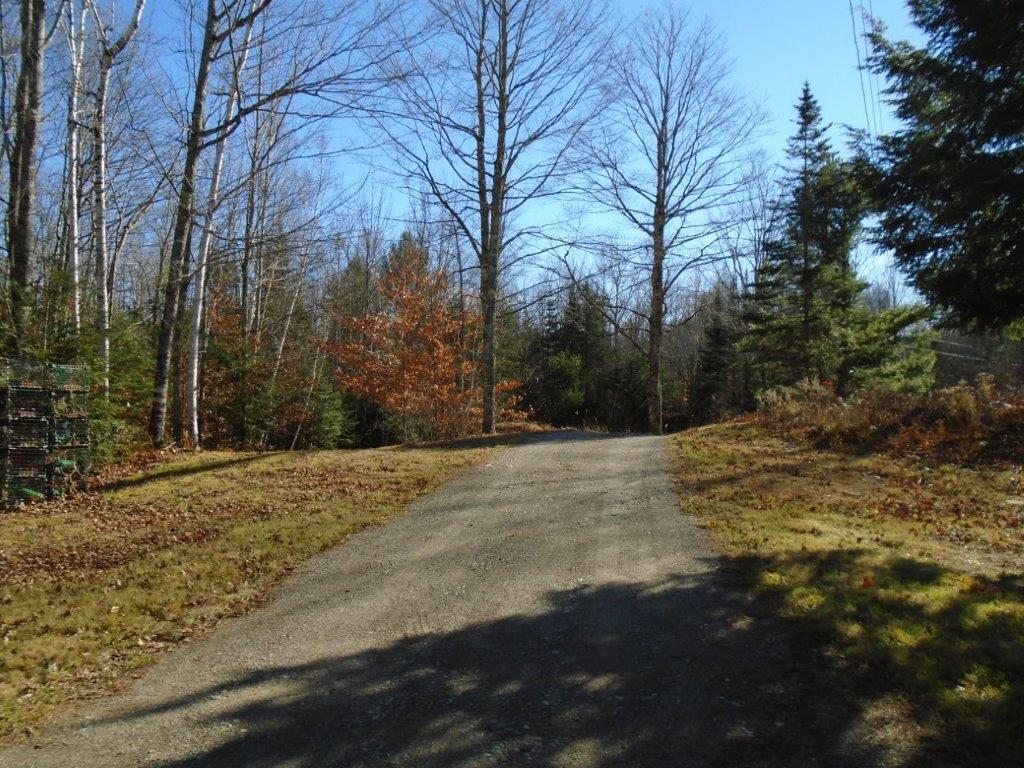 589 Belfast Road Freedom, ME 04941 - Photo 25 of 30 Driveway toward road