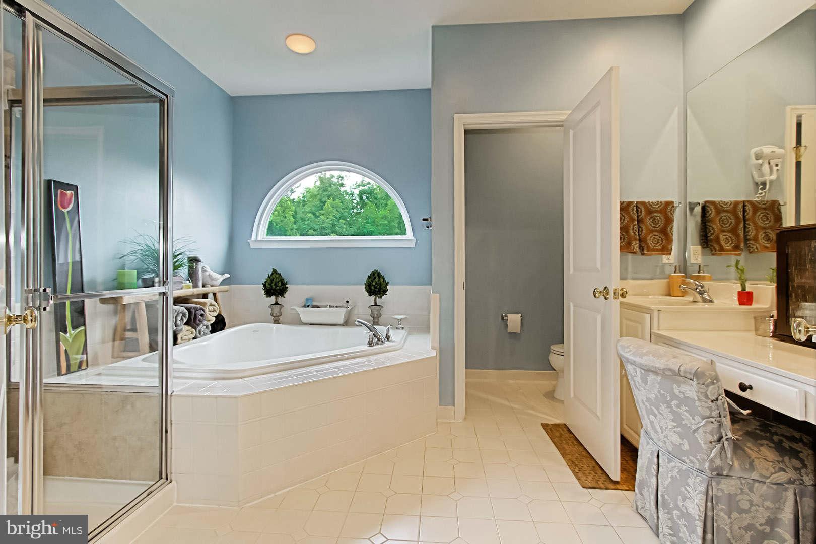 9050 Roaring Spring Loop Bristow, VA 20136 - Photo 23 of 30 Bath (Master)