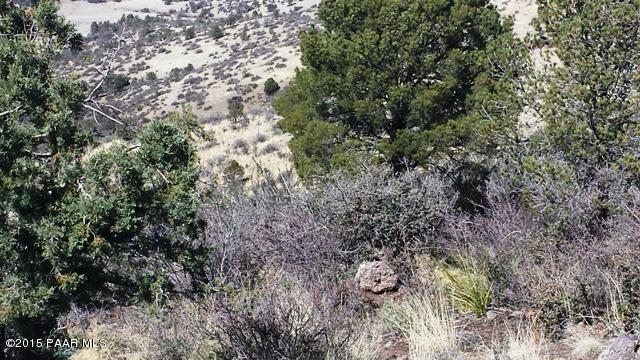 3150 Bar-Circle-A Road Prescott, AZ 86301 - Photo 7 of 12 20150306_134819