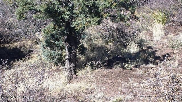 3150 Bar-Circle-A Road Prescott, AZ 86301 - Photo 8 of 12 20150306_134827