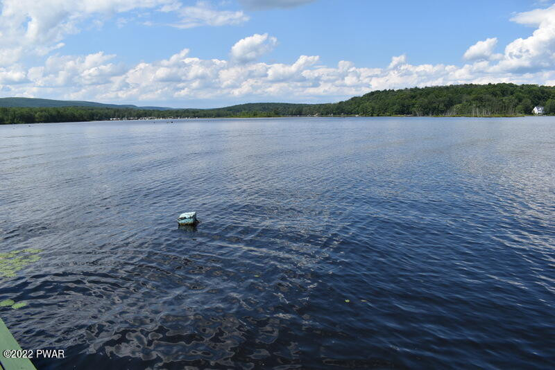 194 Spring Box Lane Lake Ariel, PA 18436 - Photo 21 of 37 DSC_0030