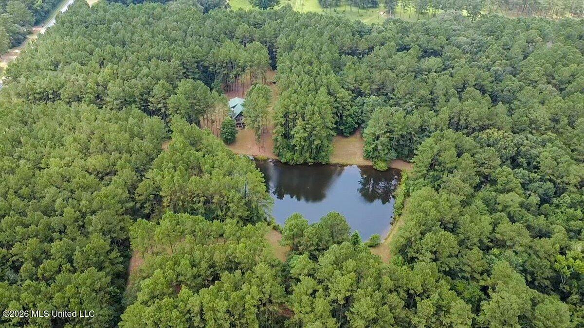 3181 Centerville Road Magnolia, MS 39652 - Photo 44 of 53 44-2026-06-25-11-43-36-951