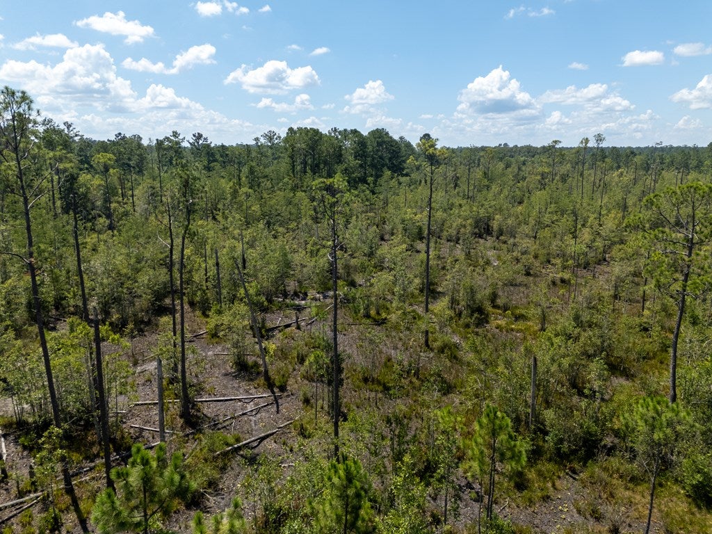 0 Union Road Hahira, GA 31632 - Photo 7 of 49 Gallery Image 7