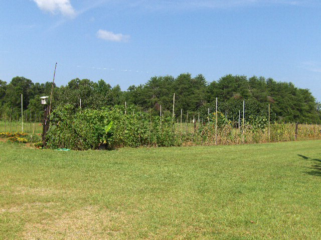 174 Buck Road Gray, GA 31032 - Photo 21 of 25 a view of a field with trees in the background