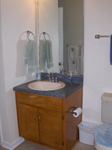 174 Buck Road Gray, GA 31032 - Photo 9 of 25 a bathroom with a granite countertop sink a toilet and a mirror