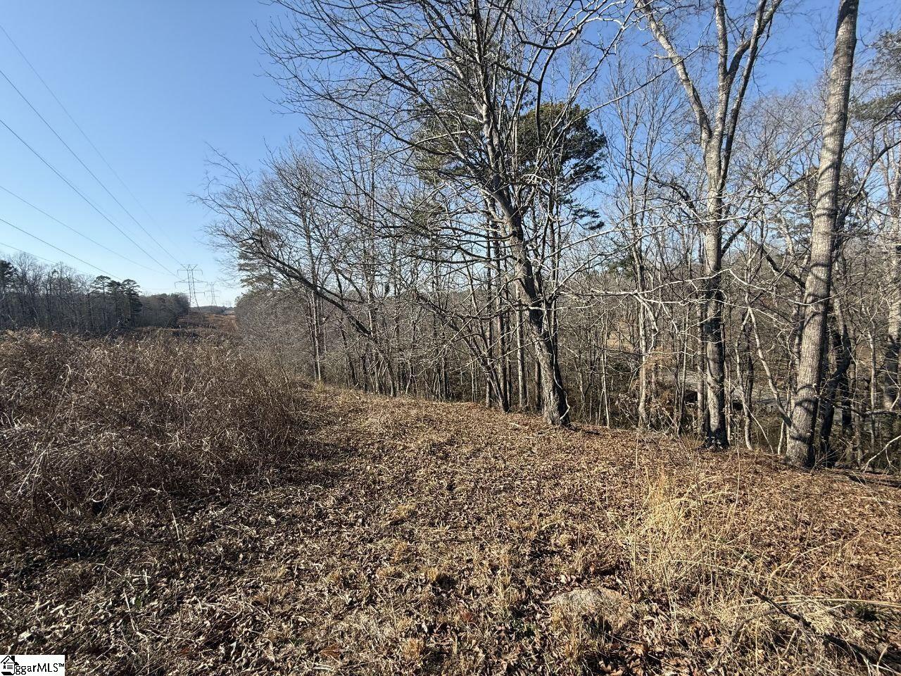 Old Converse Road Spartanburg, SC 29307 - Photo 2 of 8