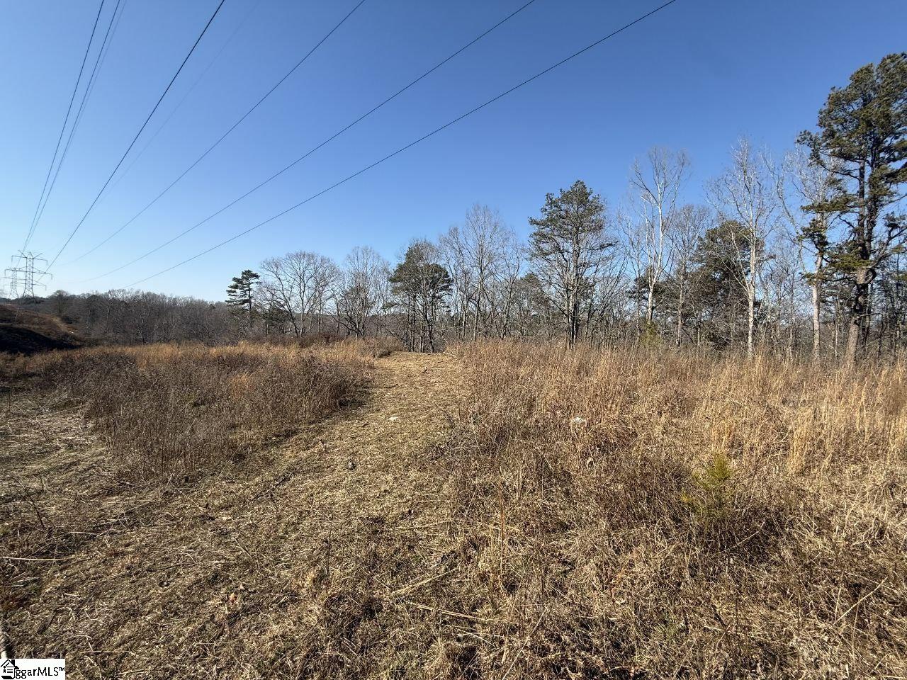 Old Converse Road Spartanburg, SC 29307 - Photo 6 of 8