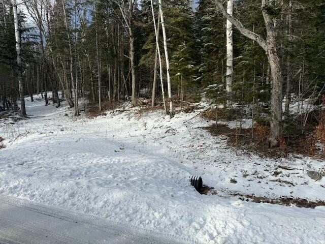 0 Red River Road Winterville Plt, ME 04739 - Photo 11 of 16 tempImagecphxyO