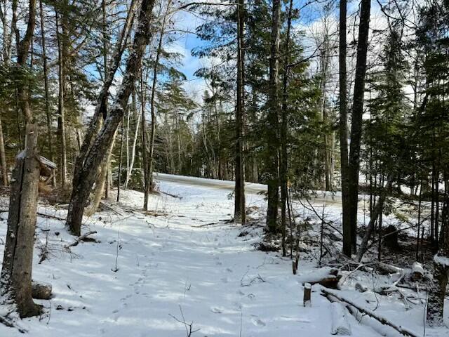 0 Red River Road Winterville Plt, ME 04739 - Photo 12 of 16 tempImagem3lRS7