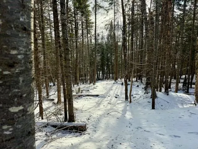 $85,000 | 0 Red River Road, Winterville Plt, ME 04739