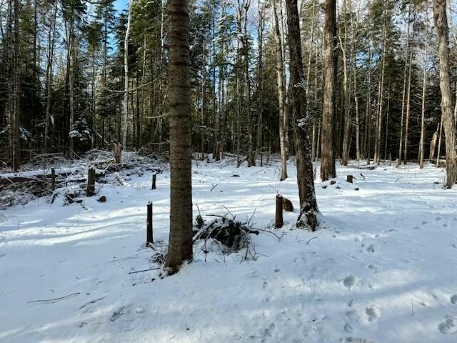 0 Red River Road Winterville Plt, ME 04739 - Photo 14 of 16 tempImagedrTjxj