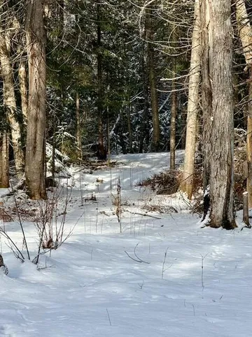 $85,000 | 0 Red River Road, Winterville Plt, ME 04739