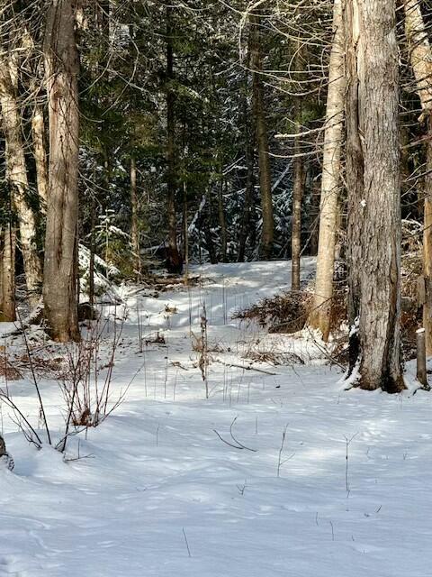 0 Red River Road Winterville Plt, ME 04739 - Photo 15 of 16 tempImagemiDLeE