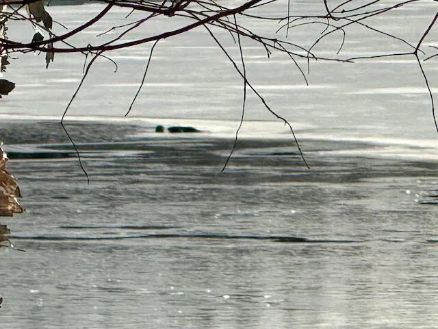 $85,000 | 0 Red River Road, Winterville Plt, ME 04739