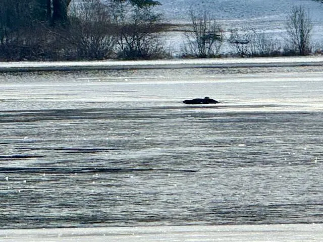 $85,000 | 0 Red River Road, Winterville Plt, ME 04739