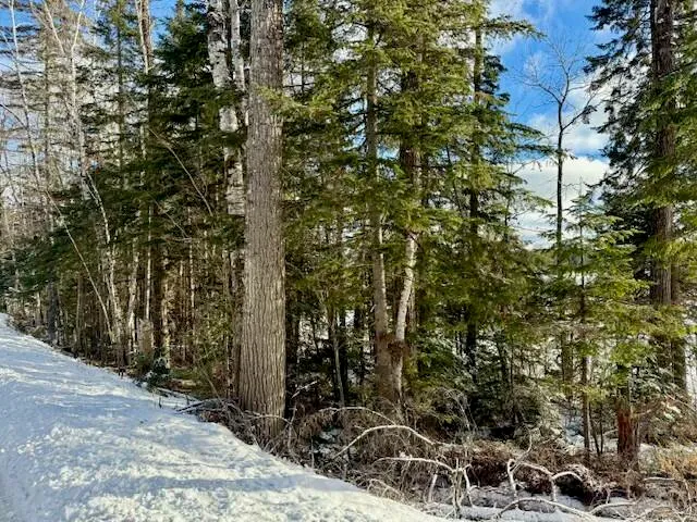 $85,000 | 0 Red River Road, Winterville Plt, ME 04739