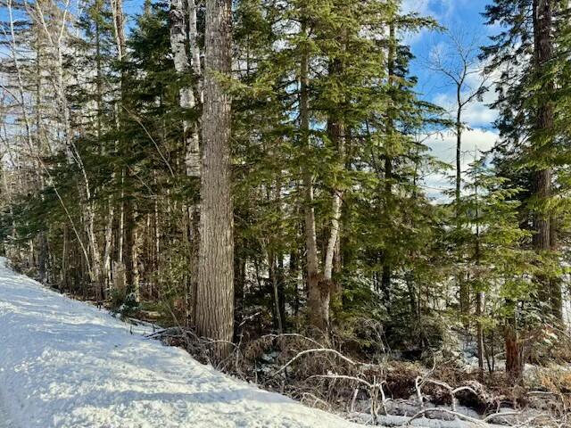 0 Red River Road Winterville Plt, ME 04739 - Photo 7 of 16 tempImagebXjDDB