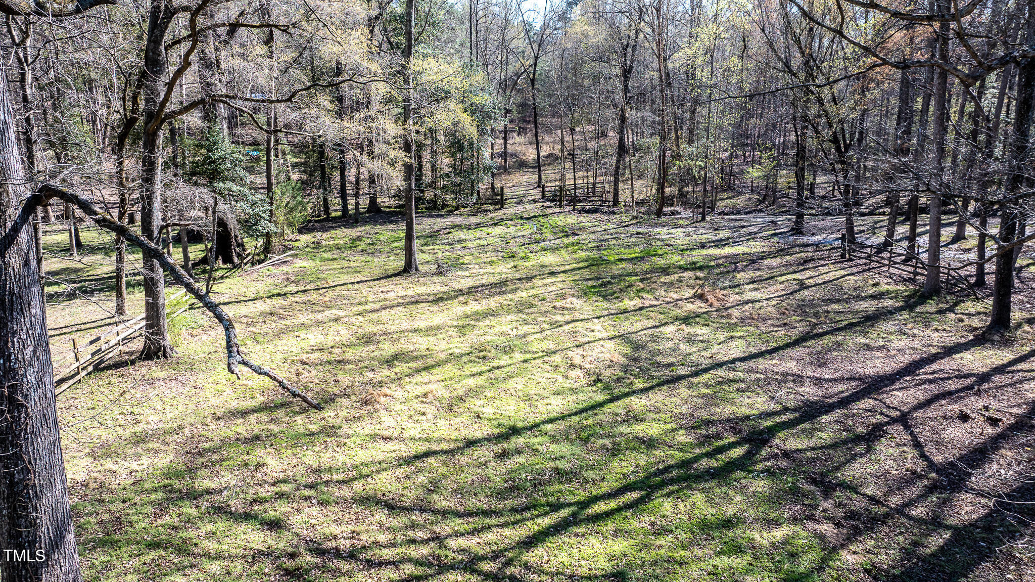408 Rand Road Raleigh, NC 27603 - Photo 10 of 60 a view of a yard with trees