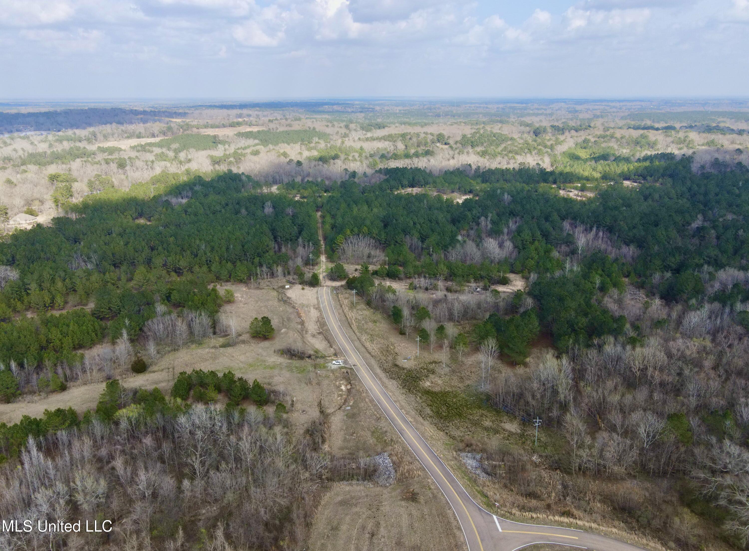 Paschal Hill Road Brandon, MS 39042 - Photo 2 of 3 dji_fly_20230223_140816_268_167811440726