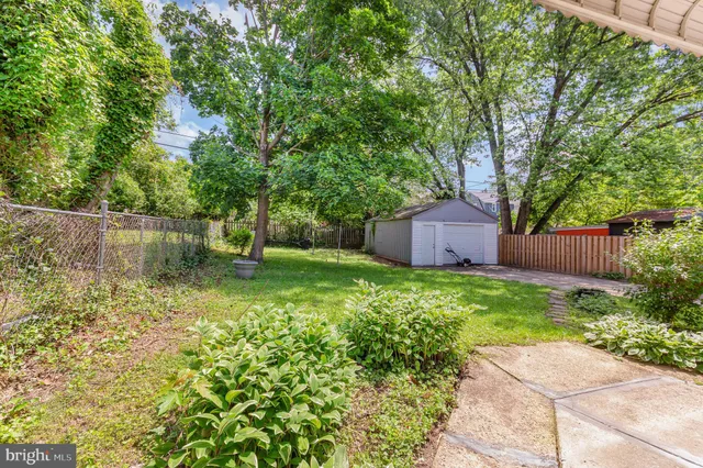 a view of a backyard with large trees and wooden fence