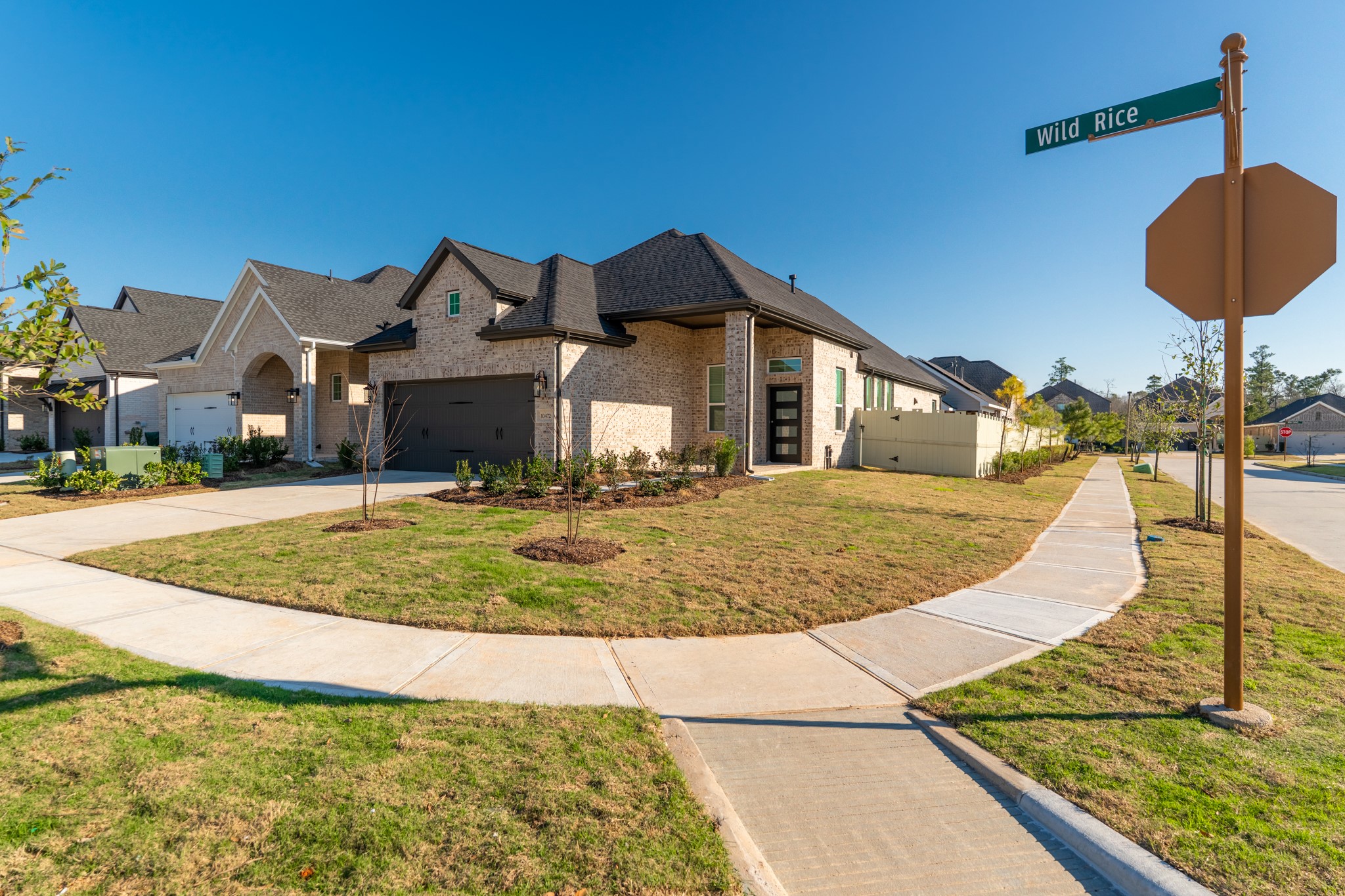 10472 Wild Rice Conroe, TX 77385 - Photo 32 of 34