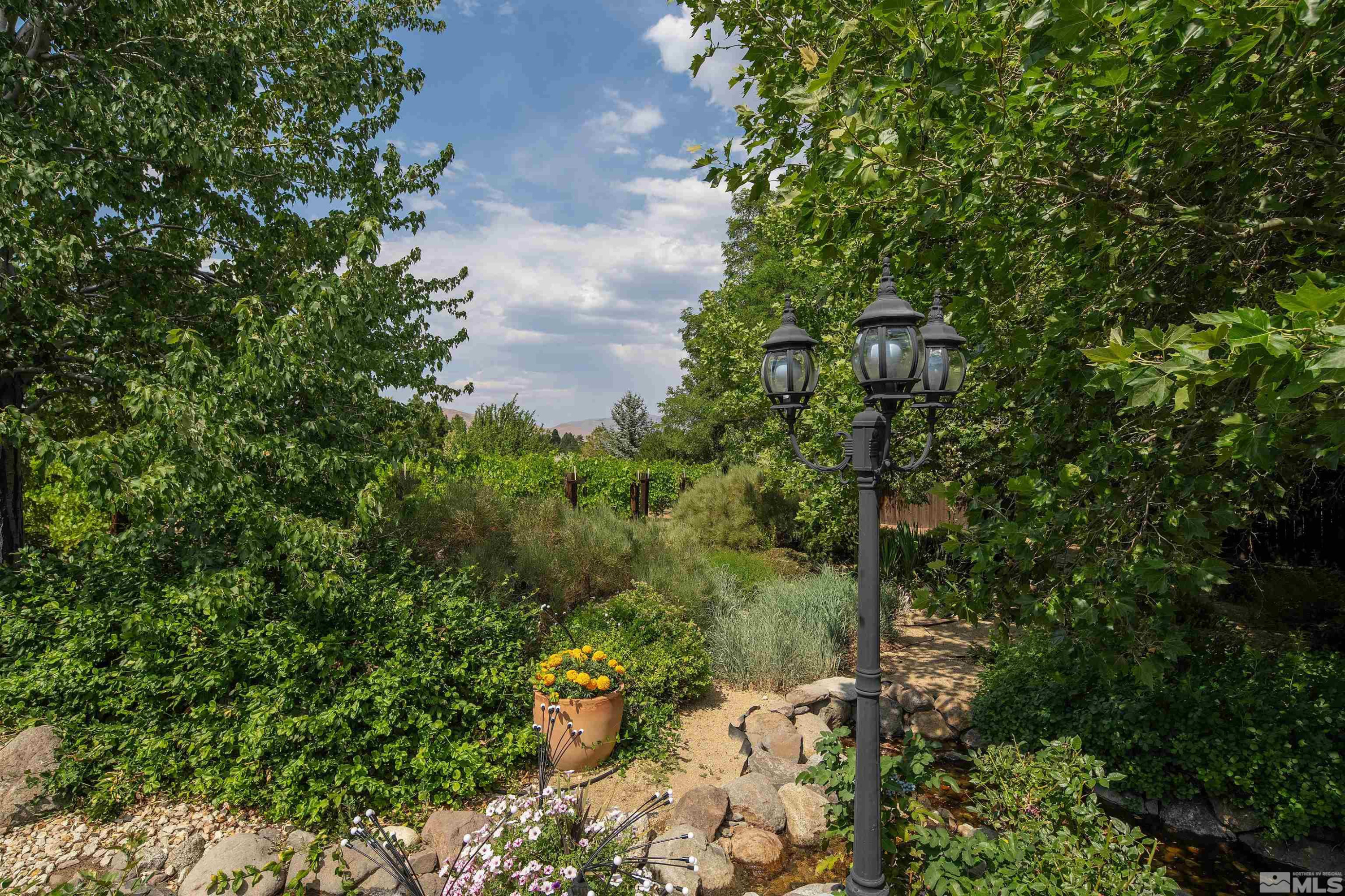 2032 Ash Canyon Road Carson City, NV 89703 - Photo 27 of 37 a view of a garden with plants