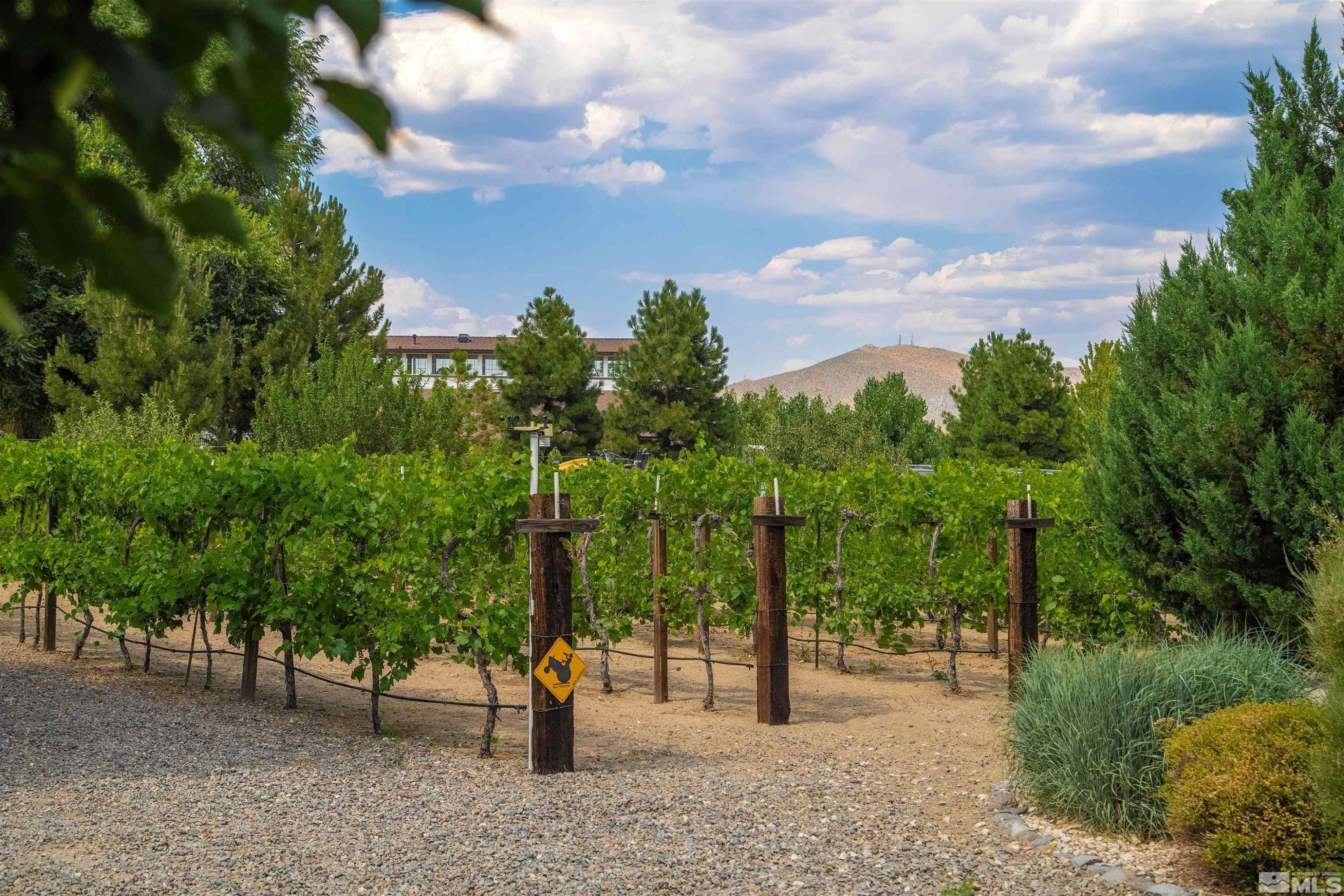 2032 Ash Canyon Road Carson City, NV 89703 - Photo 28 of 37 a view of a backyard
