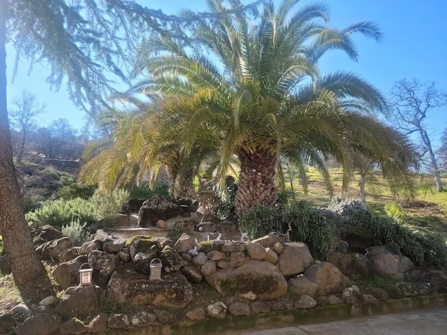 $1,800,000 | 14772 Holman Mountain Road, Jamestown, CA 95327