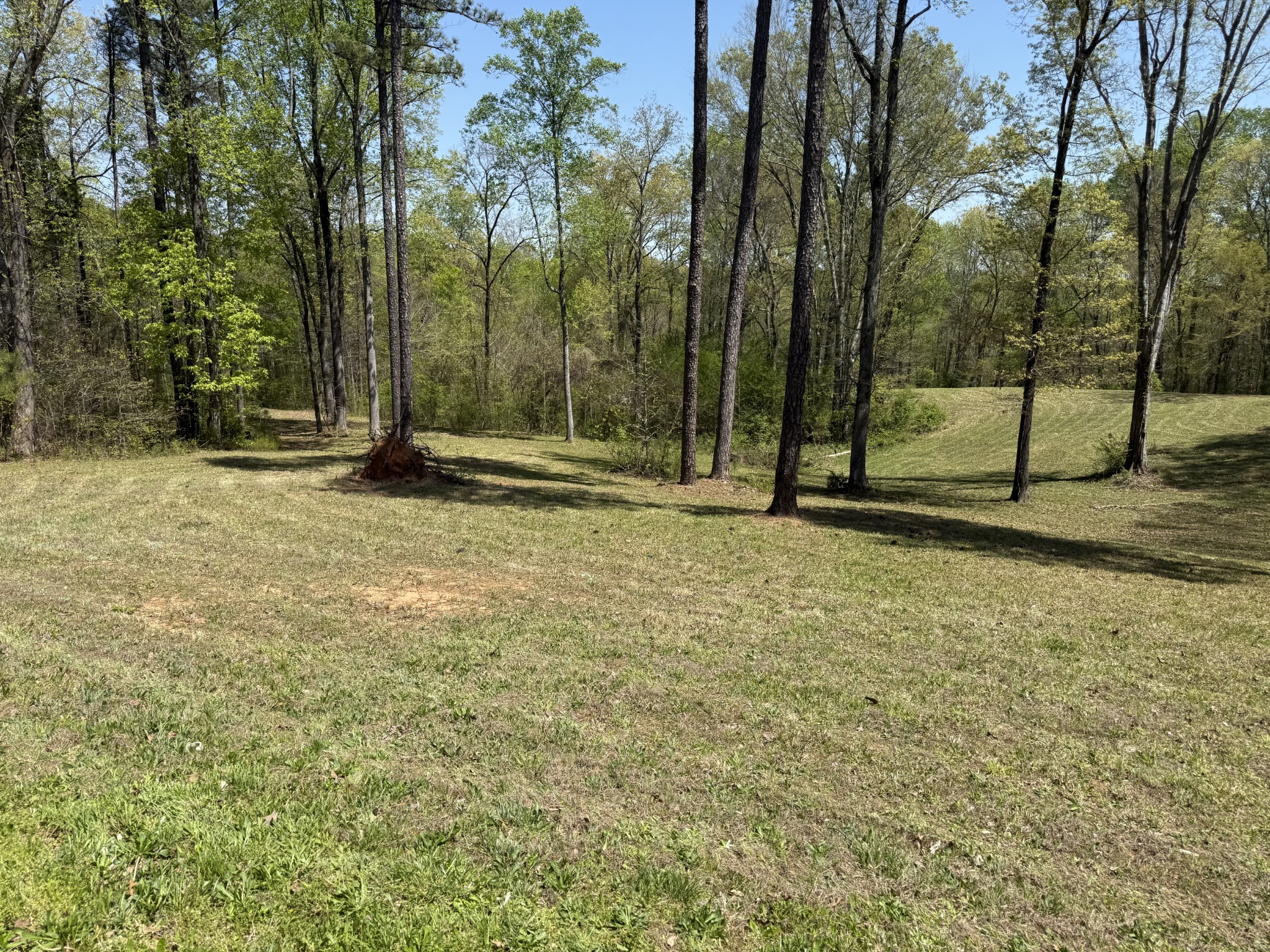 534 Whitney Branch Road Springville, TN 38256 - Photo 58 of 61 Gallery Image 58