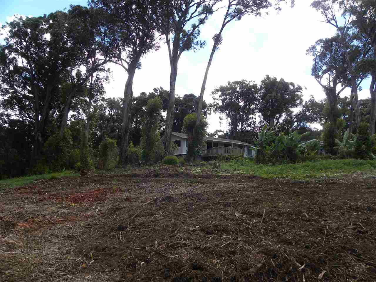 0 South Holokai Road Haiku, HI 96708 - Photo 7 of 15 a view of a yard with trees