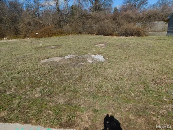 $30,000 | 3145 Somerset Green Court, St. Louis, MO 63136