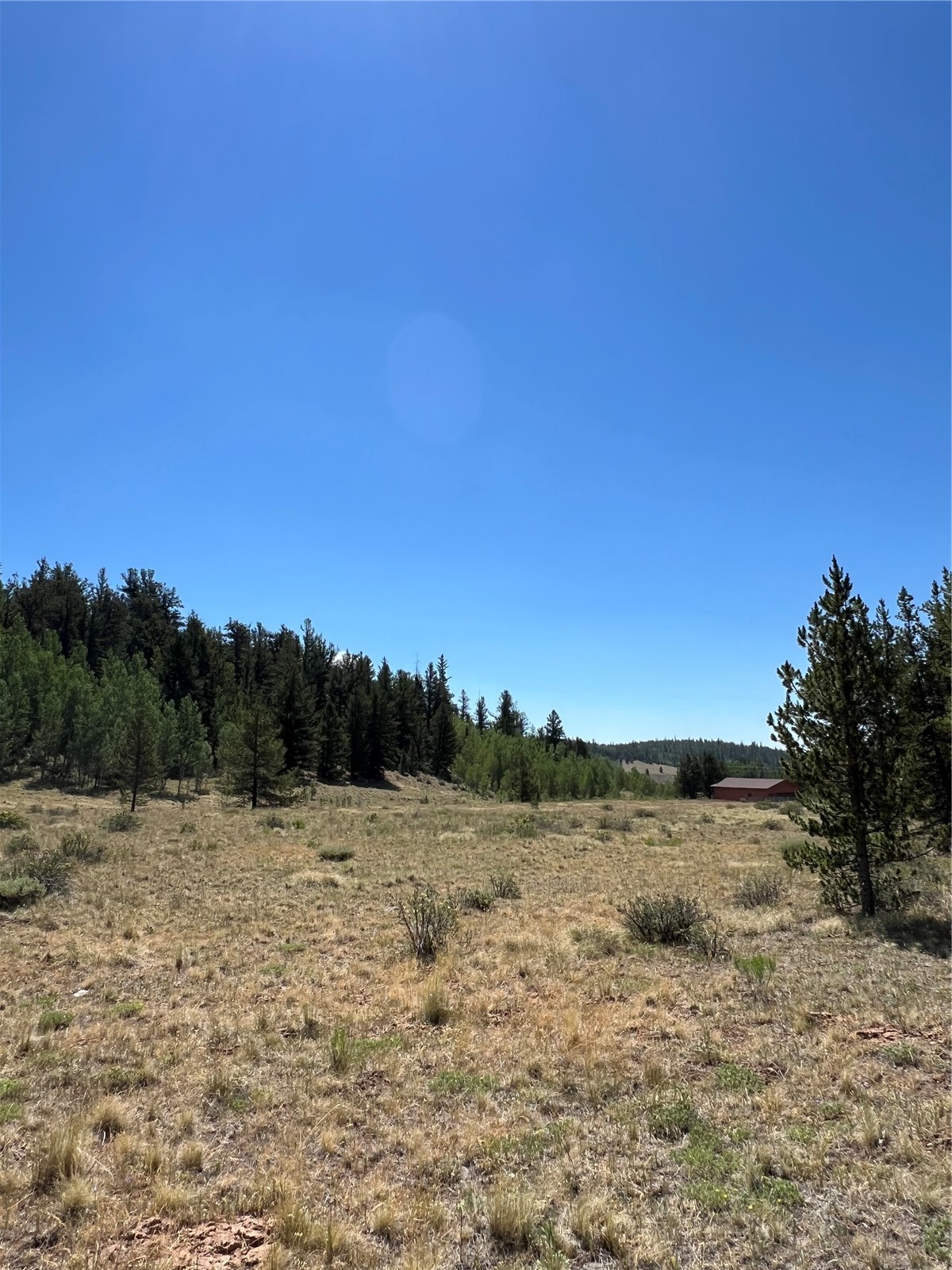 152 Co Road Fairplay, CO 80440 - Photo 19 of 20