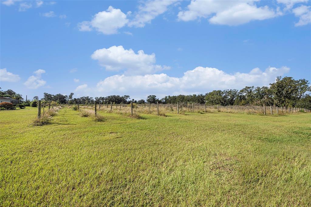 331 Lewis Road Lithia, FL 33547 - Photo 51 of 87 Gallery Image 51