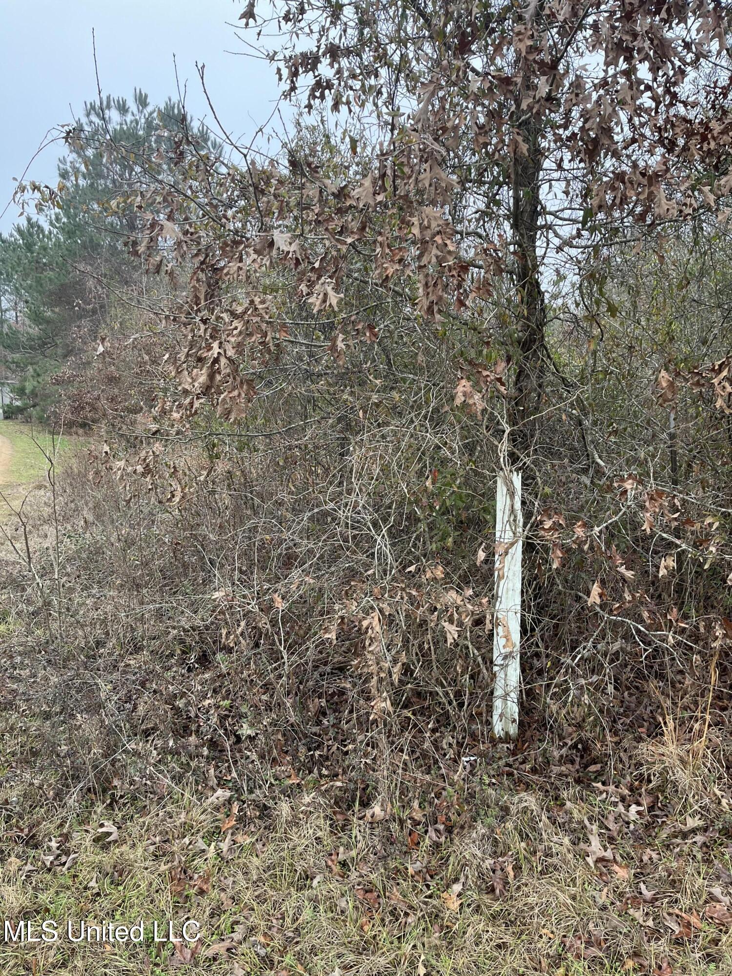 Coventry Road Natchez, MS 39120 - Photo 1 of 4 IMG_2841