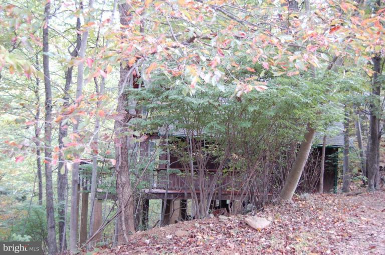 133 Elseas Farm Road Linden, VA 22642 - Photo 2 of 22 Aerial View