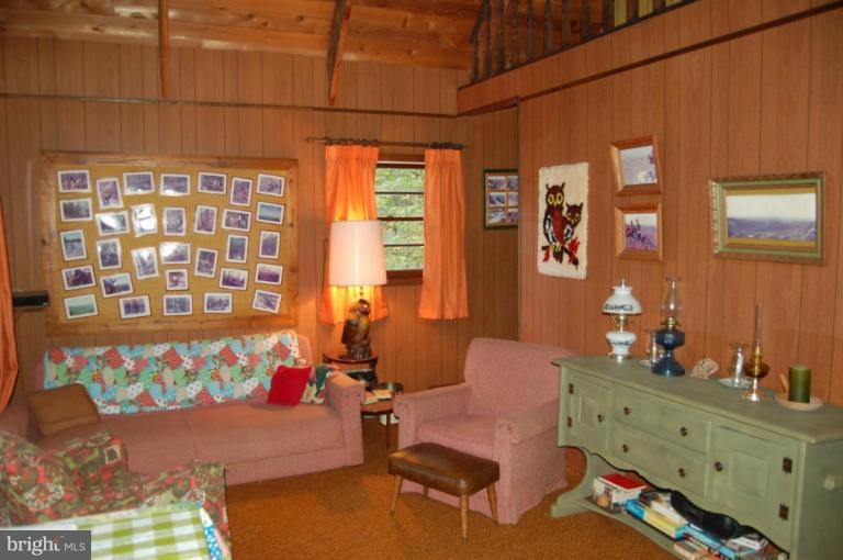 133 Elseas Farm Road Linden, VA 22642 - Photo 21 of 22 Living Room #3
